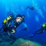 Guided Immersion from Santa Cruz de Tenerife - Radazul Bay: A Calm and Colorful Marine Habitat
