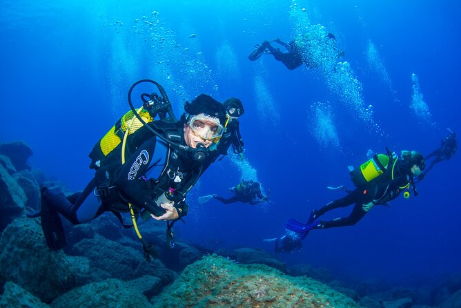 Guided Immersion from Santa Cruz de Tenerife - Radazul Bay: A Calm and Colorful Marine Habitat