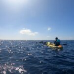 Guided Kayak Tour From Los Cristianos Beach Tenerife - From Los Cristianos Beach to the Fish Farm: Starting the Adventure