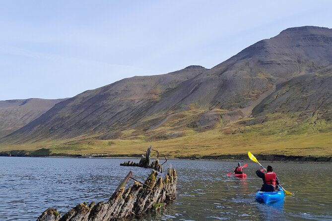 Guided kayak tour in Siglufjörður / Siglufjordur. - Paddling Through Siglufjörðurs Scenic Waterways