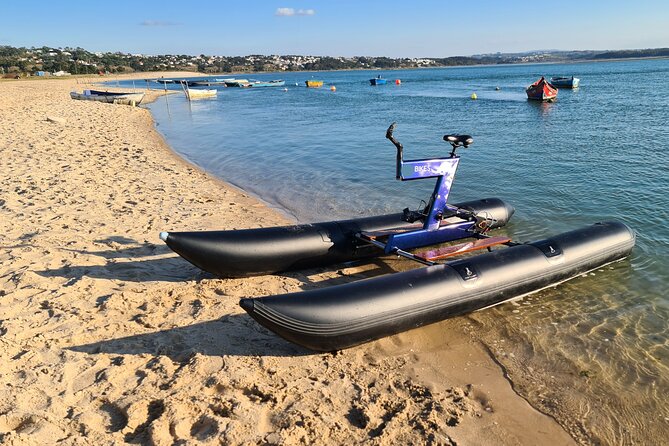 Guided Kayak Tours in the Óbidos lagoon - Stops at Foz do Arelho Beach and the Lagoon’s Shores