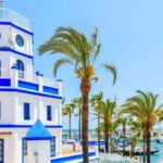 Guided Marine Life Excursion in Estepona - What the 260hp Motorboat Delivers