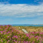 Guided Nature Tour & Hop On Hop Off 3 Islands - Marine Biologist-Led 90-Minute Guided Tour