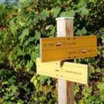 Guided Nature Walk to Bartrès with a Pyrenean Mountain Dog - Meeting at Lourdes’ St Michaels Gate for a Scenic Walk
