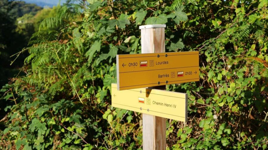 Guided Nature Walk to Bartrès with a Pyrenean Mountain Dog - Meeting at Lourdes’ St Michaels Gate for a Scenic Walk