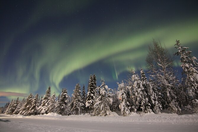 Guided Northern Lights Tour at Kiruna - The Transport: Cozy Minivan and Group Size