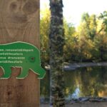 Guided Ranua Wildlife Park tour with Lunch, Small group adventure - Convenient Hotel Pickup and Transportation