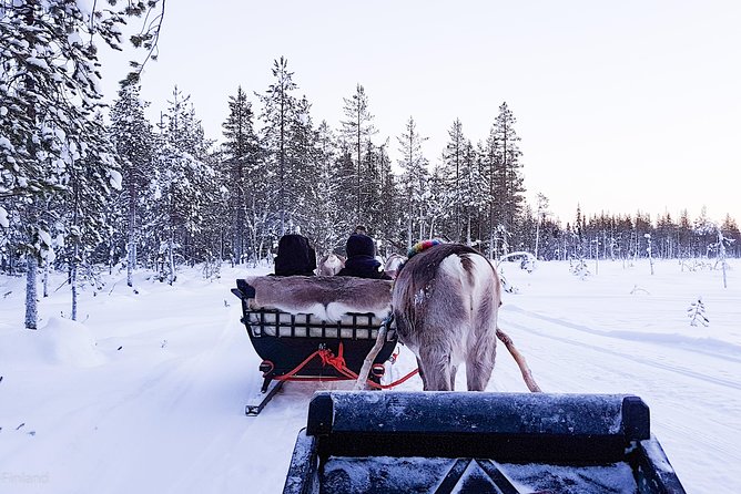 Guided reindeer farm visit and one hour sledge safari - The Reindeer Sledge Ride into the Wilderness