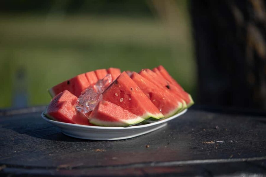 Guided Safari Kayaking Tour in Neretva Valley - Starting Point and Transportation for Drivers