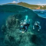 guided Scuba Diving on Tenerife (for certified divers) - The Unique Dive Sites Around Tenerifes Radazul Area