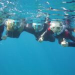 Guided Snorkelling Experience in South of Gran Canaria - Professional Guides Provide Safety and Insights