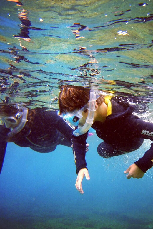 Guided Snorkelling experience in south of Gran Canaria - Starting From Five Coastal Pickup Points