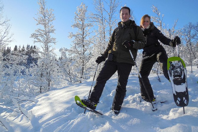 Guided Snowshoe Walk on Tromsoya Island in Tromso - Transport and Meeting Details