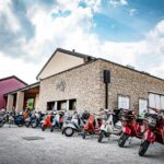 Guided Tour and wine tasting 5 wines to discover the Conegliano Valdobbiadene - Inside the Winery: From Grape to Bottle