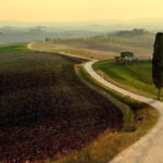 Guided tour in wonderful Tuscany - Breathtaking Views at Agriturismo Baccoleno