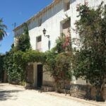 Guided Tour Of An Old Winery with Tasting from Alicante and Elche - Guided Walk Through the Vineyard and Winery