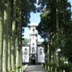 Guided tour of Sete Cidades and Lagoa do Fogo in São Miguel - Exploring São Miguel’s Volcanoes and Craters on a Guided Day Trip