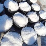 Guided tour of the Cabo de Gata salt flats - Walking Through the Salt Flats and Volcanic Landscapes