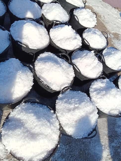 Guided tour of the Cabo de Gata salt flats - Walking Through the Salt Flats and Volcanic Landscapes
