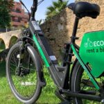 Guided tour of the Old Town Estepona - Street Art and Murals on Estepona’s Streets