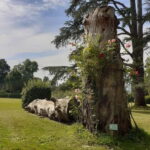 Guided tour of the park of Villa Reale di Marlia - Starting at the Most Beautiful Viewpoint with Lake and Villa Views