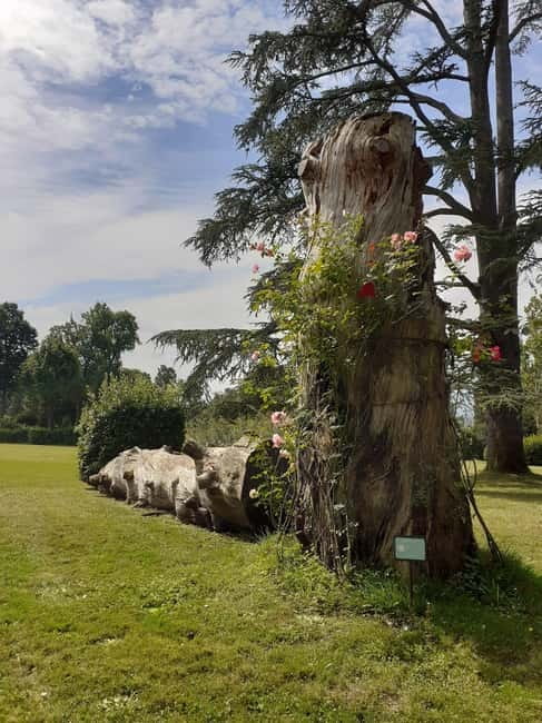 Guided tour of the park of Villa Reale di Marlia - Starting at the Most Beautiful Viewpoint with Lake and Villa Views