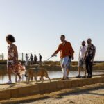 Guided tour of the salt pans of Trapani and the Salt Museum - Starting Point at Paceco and How to Join