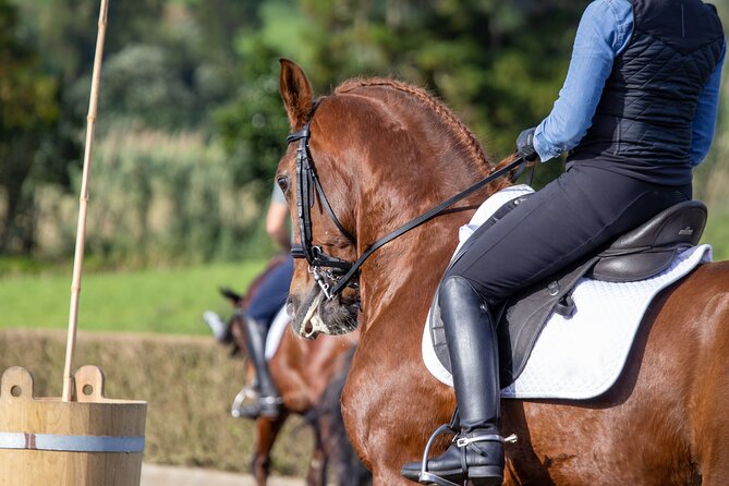 Guided tour of the stables of El Ranchito in Malaga - What Participants Learn About Horse Care and Training