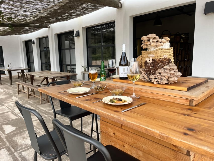 GUIDED TOUR + TASTE IN A MUSHROOM FARM - Exploring Menorca’s Unique Mushroom Cultivation Process