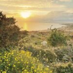 Guided Tour to Cape Greko from Larnaca - Visiting Cape Cavo Greco: The Heart of the Tour