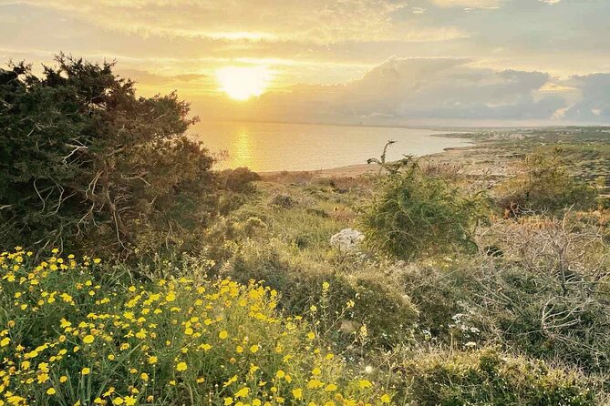 Guided Tour to Cape Greko from Larnaca - Visiting Cape Cavo Greco: The Heart of the Tour