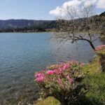 Guided Tour to the Sete Cidades Volcano in São Miguel Azores - Panoramic Views from Miradouro do Pico do Carvao