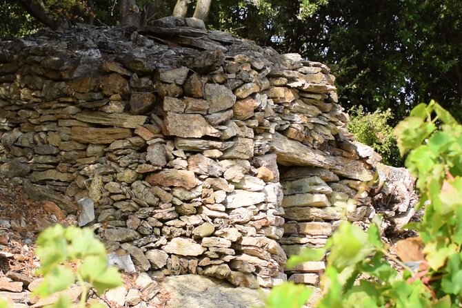 Guided tour with a winemaker: From the vine to the glass... - Exploring the Vineyard in the Heart of Caussiniojouls