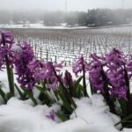Guided tour with tasting - The Location: Bodega Doña Felisa near Ronda