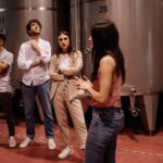 Guided Visit and Wine Tasting at the Winery in Veneto - Walk Through the Vineyards and Follow the Grapes’ Journey