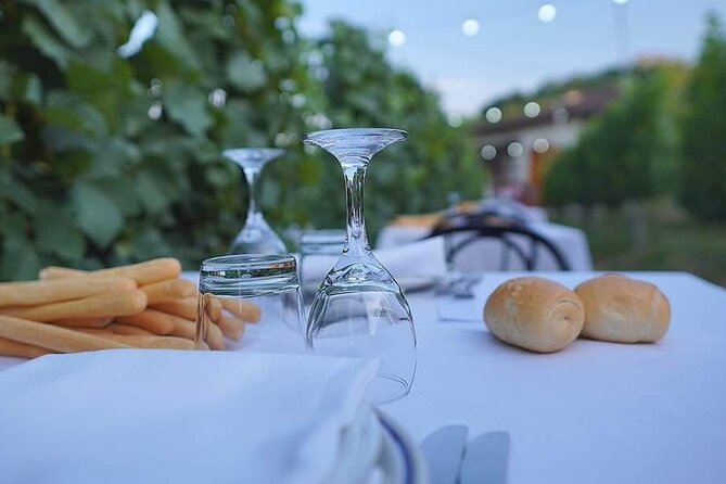 Guided Walk and Lunch in the Vineyard in Alba - Roberto’s Expertise in Winemaking and Cultivation