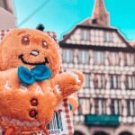 Guided Walking Tour in Strasbourg between History and Curiosities - The Historic District of Bottai & Place Gutenberg