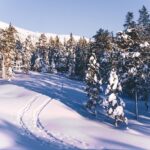 Guided Wilderness Skiing Tour In Pyhätunturi - Exploring the Pyhätunturi Terrain on Skin-Based Skis