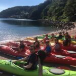 Guided Wildlife and Sea Cave Kayak Safari in English Riviera - The Experience of Paddling through Sea Caves and Coves
