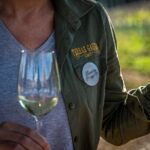 Guided Winery tour and Wine tasting in Pontevedra - Discover the Winery in Pontevedra’s O Rosal Valley