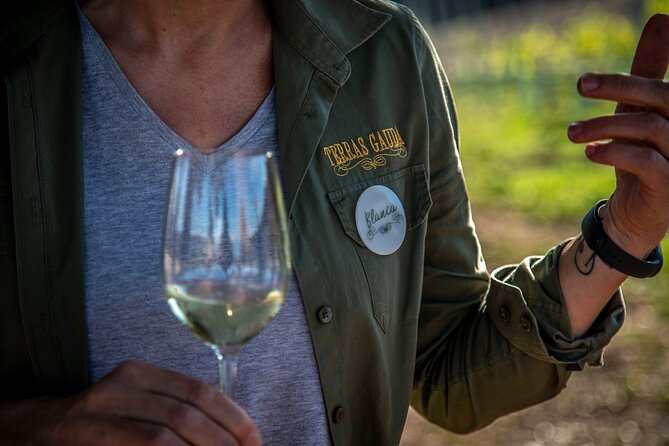 Guided Winery tour and Wine tasting in Pontevedra - Discover the Winery in Pontevedra’s O Rosal Valley