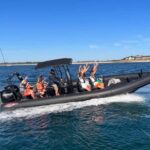 Gulf of Morbihan cruise with/without stopover on Île-aux-Moines - Starting Point: Convenient Meeting Near Thalasso Le Miramar La Cigale