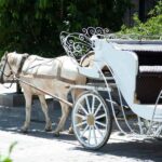 Gyumri: Private City Tour - From Yerevan to Gyumri: A Comfortable Start to the Day