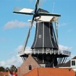 Haarlem Private Day Trip from Amsterdam with Local - Teylers Museum: Art and Science in a Historic Setting