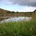 Hadrian's Wall: 2-Hour Guided Tour - Meet Your Guide in Authentic Roman Costume