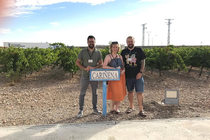 Haft-day Winery tour from Zaragoza - Visiting Bodegas Ignacio Marin: A Century of Tradition