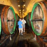 Half day at Pilsen - Comfortable Private Transport with Wi-fi and Convenience