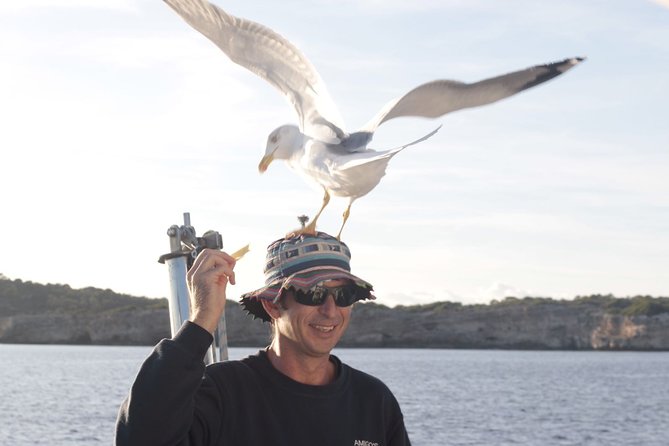 Half-Day Boat Tour along The South Coast of Menorca - The Scenic Route Past Hidden Coves and Beaches