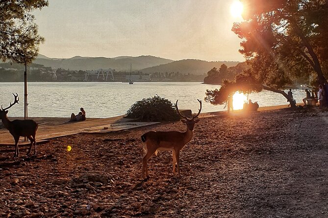 Half-Day Boat Tour Korcula Archipelago - Picking Up the Journey at Korcula Town