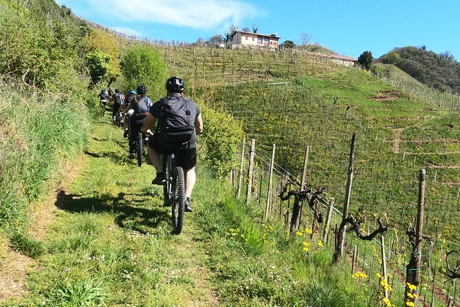 Half-Day E-Bike Tour in Prosecco Hills with Prosecco Tasting - Panoramic Views from the Anello del Prosecco Superiore